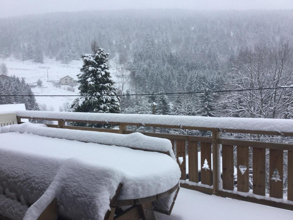 Chalet Le Val'Tin Ventron Kültér fotó